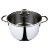 Serenk Modernist Stainless Steel Stock Pot, 24 cm